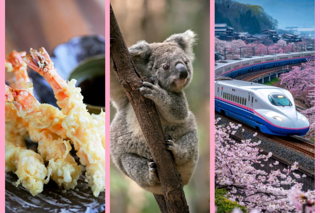 社内イベントが盛り上がるクイズ問題 70選_食べ物、動物、乗り物に関するクイズ